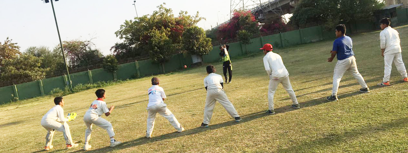 Blaze Willow Cricket Academy